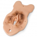 Erweiterungsset Spezial-Untersuchungsmodule