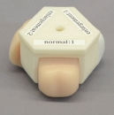 Prostata und rektaler Untersuchungssimulator