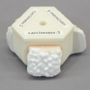 Prostata und rektaler Untersuchungssimulator