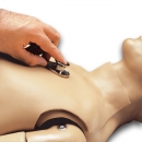 Herz- und Lungentöne für R17710