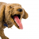 Jerry K-9 HLW &Uuml;bungspuppe