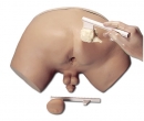 Prostatauntersuchungs-Simulator (R10031)