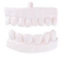 Ersatz Zahn-Teilprothese für P10 und P11
