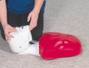 Basic Buddy CPR-Puppe, 5er-Pack (R10090-1)