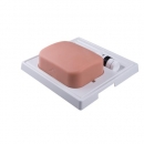 SONOtrain™​ Ultraschall Gallenblasenmodell