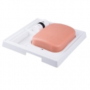 SONOtrain™ Ultraschall Fremdkörpermodell