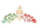 Segmentiertes Lungenmodell - 3B Smart Anatomy