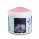 Prostata-Tastmodell mit 4 Stadien