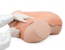Gynäkologietrainer P91