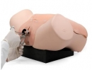 Gynäkologietrainer P91