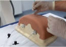 Bildgestützter Brustwirbelinjektions-Trainer P66
