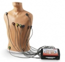 Life/form® 15-Kanal-EKG Platzierungstrainer