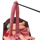 Organtablett