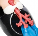 AirSim Child Combo Bronchi X