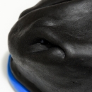 Pferde Simulator 1.0