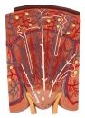 Nierenschnitt, Nephron und Nierenkörperchen