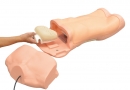 Abdominaler Untersuchungs-Simulator