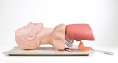 Airway Management Trainer