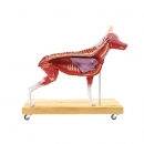 Hunde Modell (Schäferhund), 11-teilig, 2/3 natürliche Größe