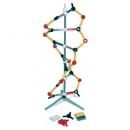 DNA-Modell, kurz, Orbit&trade