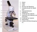 Monokulares Kursmikroskop, Modell 100, LED (230 V, 50/60 Hz)