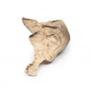 Hirschsprung&lsquo;s Krankheit