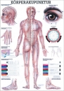 Körperakupunktur Lehrtafel 70x100 cm (TA10)