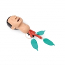 Atemwegsmanagement-Trainer hellh&auml;utig