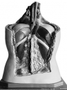 Torso (A 36)