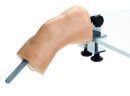 CLA-Arthroskopiemodell vom Kniegelenk (TS 10/3)