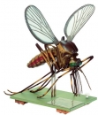 Modell einer Stechmücke (ZoS 48/5)