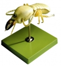 Termite (ZoS 49/14)