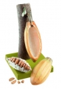 Frucht des Kakaobaums (BoS 15/33)