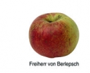 Freiherr von Berlepsch (03/12)