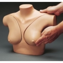 &Uuml;bungsmodell Brustuntersuchung