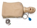 Airway Larry Erwachsenen-Airway Management Trainer Torso