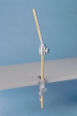 Tischklemme f&uuml;r die Dentalpuppe