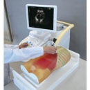 FAST-Ultraschall-Untersuchungsmodell