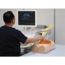 Ultraschalluntersuchungsphantom-F&ouml;tus