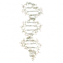 DNA-Set